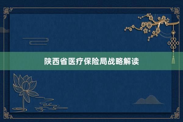 陕西省医疗保险局战略解读