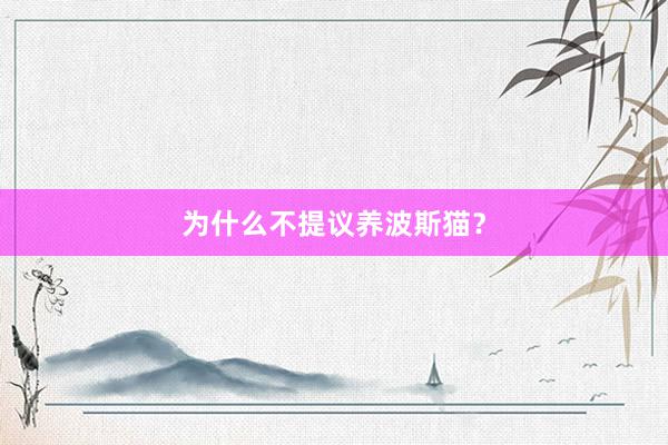 为什么不提议养波斯猫?