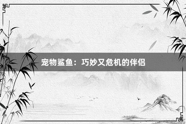 宠物鲨鱼:巧妙又危机的伴侣