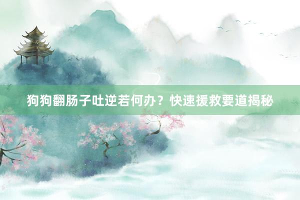 狗狗翻肠子吐逆若何办？快速援救要道揭秘