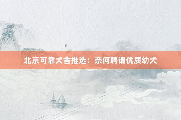 北京可靠犬舍推选：奈何聘请优质幼犬